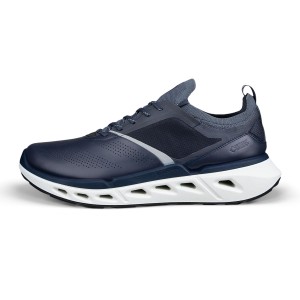 ECCO Biom 720 M Ombre