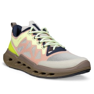 ECCO Biom 720 W Ibis