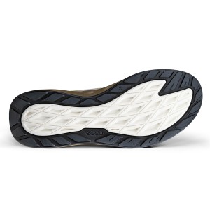 ECCO Biom 720 W Ibis