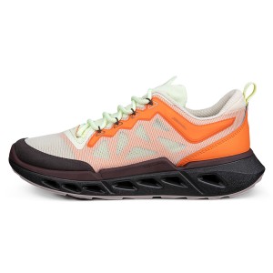 ECCO Biom 720 W Ibis