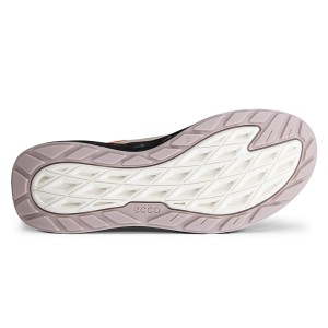 ECCO Biom 720 W Ibis