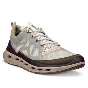 ECCO Biom 720 M Gravel