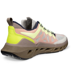 ECCO Biom 720 M Ibis