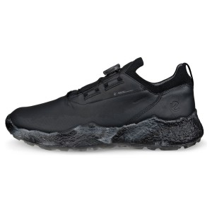 ECCO M Golf Biom H5 Black