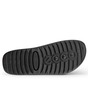 ECCO Cozmo M Potting Soil