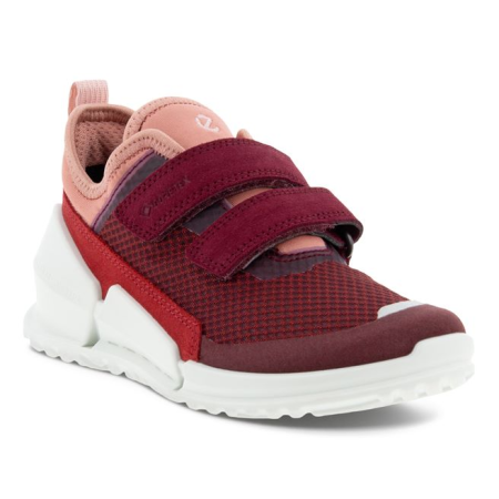 ECCO BIOM K1