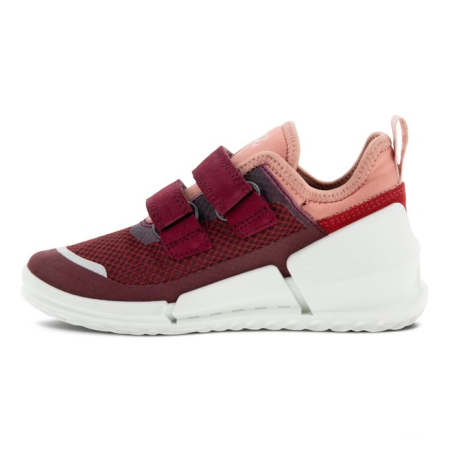ECCO BIOM K1