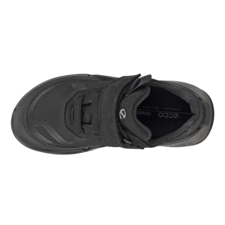 ECCO Biom K2