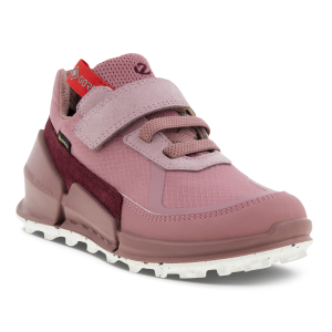 ECCO Biom K2