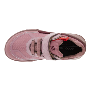 ECCO Biom K2