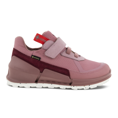 ECCO Biom K2