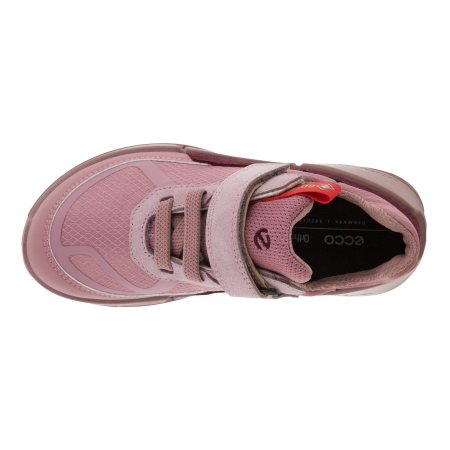 ECCO Biom K2