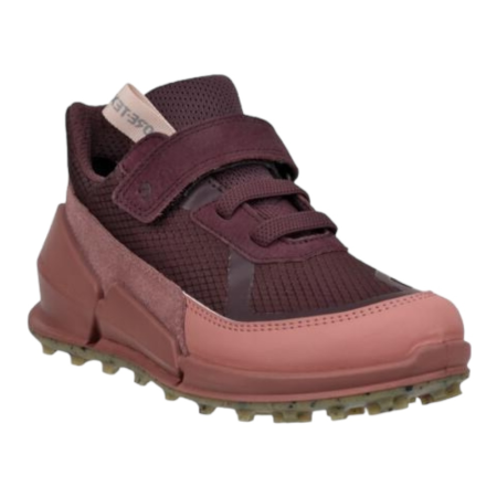 ECCO Biom K2 Fig