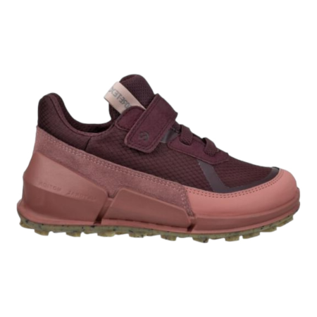 ECCO Biom K2 Fig
