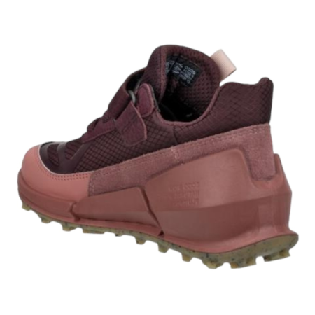 ECCO Biom K2 Fig