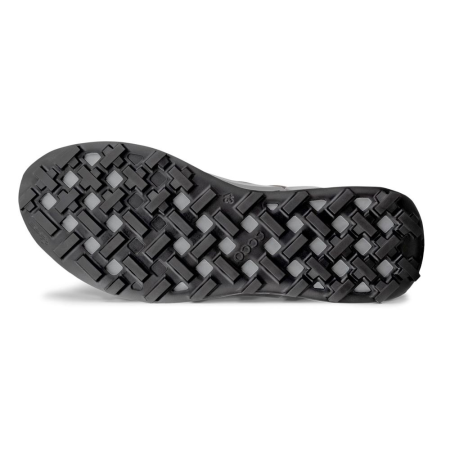 ECCO Biom 2.1 X Mountain M Magnet