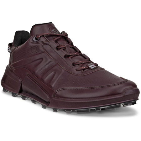 ECCO Biom 2.1 X Mountain W Fig