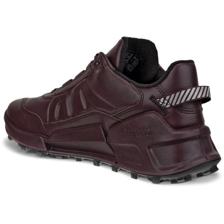 ECCO Biom 2.1 X Mountain W Fig