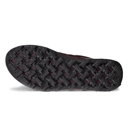 ECCO Biom 2.1 X Mountain W Fig