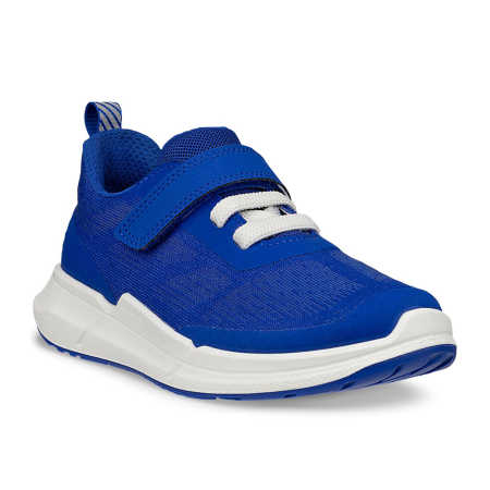 ECCO Biom 2.2 K Virtual