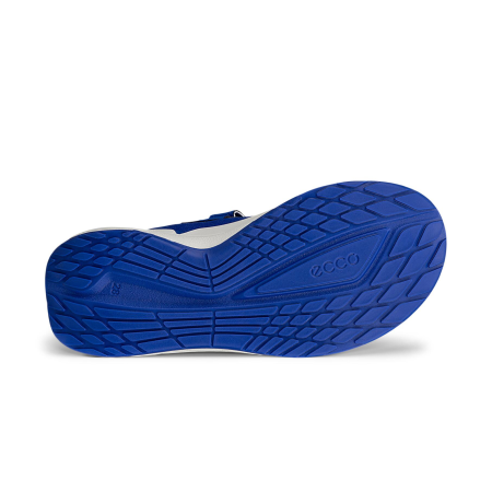 ECCO Biom 2.2 K Virtual