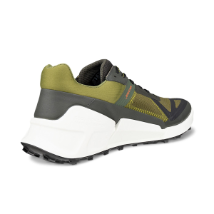 ECCO Biom 2.1 X Mountain M