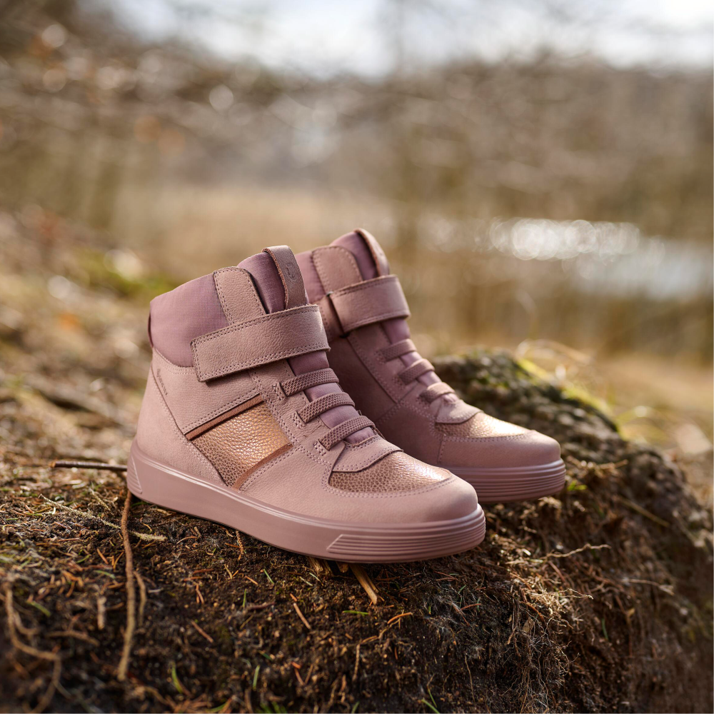 Botine