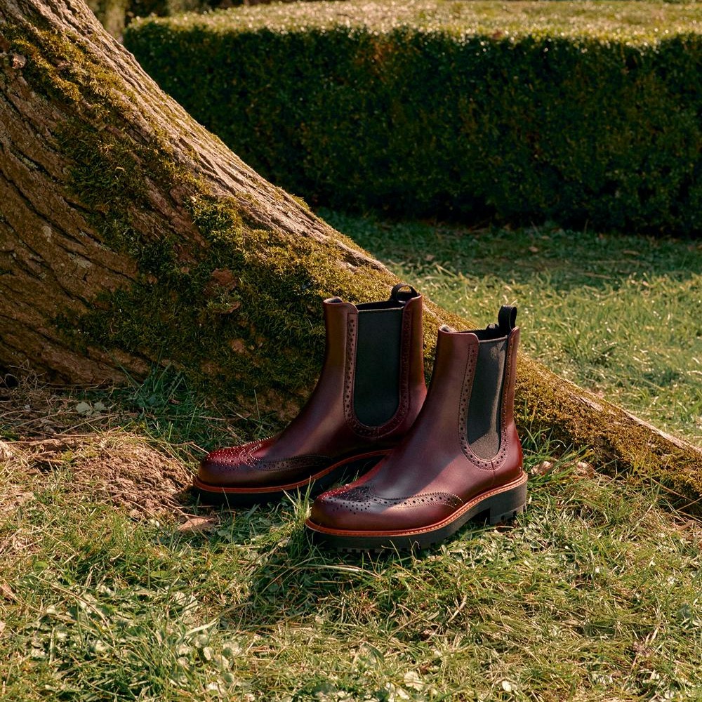 Botine